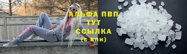 хмурый Нея