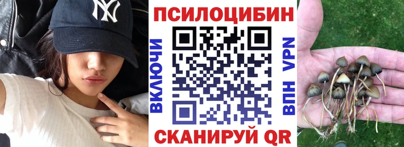 darknet формула  Печоры  Псилоцибиновые грибы мицелий 